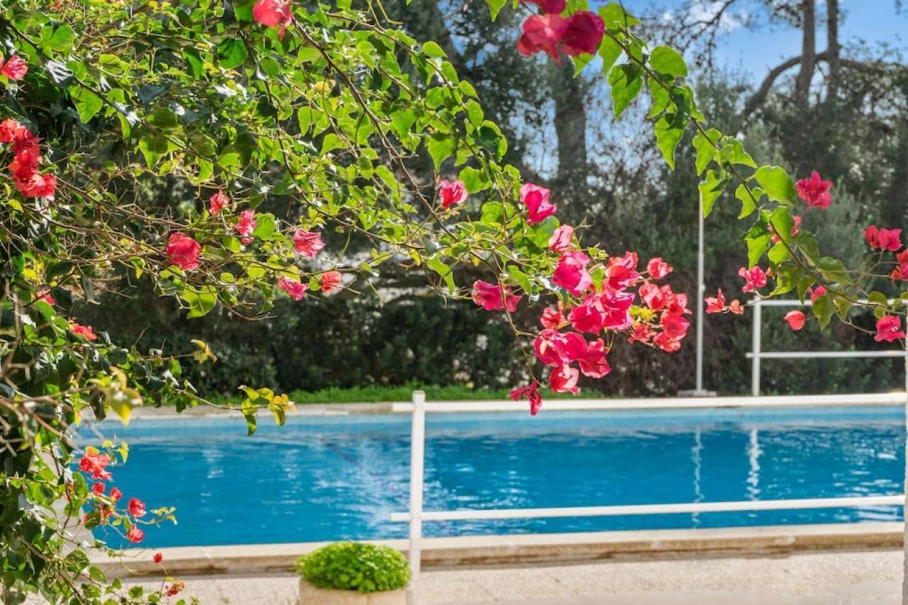 Apartamento Cap Roig 比尼贝卡 外观 照片
